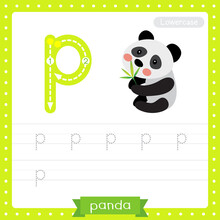 Letter P Lowercase Tracing Practice Worksheet Of Sitting Chinese Panda Bear