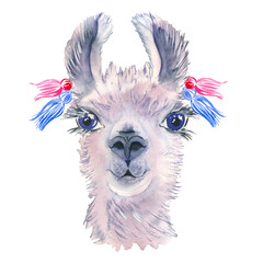  Cute hand drawn llama with national mexican ornaments, bells. Woolen Alpaca from Mexico.