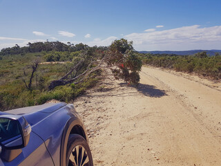 dirt road through rugged terrain of blue mountains national park