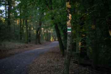 Walking trail with green hiking symbol