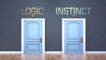 Logic And Instinct As A Choice - Pictured As Words Logic, Instinct On Doors To Show That Logic And Instinct Are Opposite Options While Making Decision, 3d Illustration