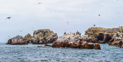 It's Gulls fly over the rocks in the sea