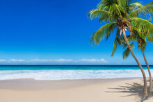 Paradise Sunny Beach With Coco Palms And Turquoise Sea. Summer Vacation And Tropical Beach Concept.	