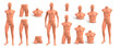 © StudioIlanP - Beige plastic male mannequin for clothes. Set of parts of a mannequin of the male body. Vector 3d realistic illustration isolated on white background. Fashion store decor.
