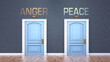 © GoodIdeas - Anger and peace as a choice - pictured as words Anger, peace on doors to show that Anger and peace are opposite options while making decision, 3d illustration