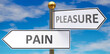 Pain and pleasure as different choices in life - pictured as words Pain, pleasure on road signs pointing at opposite ways to show that these are alternative options., 3d illustration