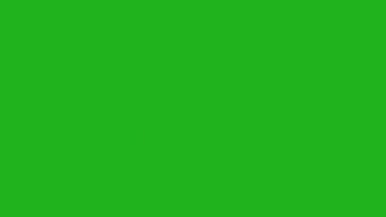 Wall Mural - Fireworks motion graphics with green screen background