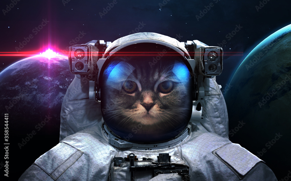 Cat astronaut in space - obrazy, fototapety, plakaty 