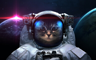 Wall Mural - Cat astronaut in space