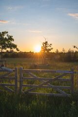 Wall Mural - The sun is setting behind some trees in an unused pasture with a wooden gate in the area of Skåne, Sweden