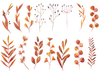 set of yellow leaves and branches decorative elements watercolor illustration on white background