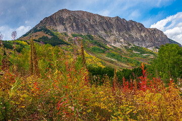 Sticker - autumn landscape in the mountains  2