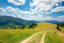 Path Through The Meadow In Mountains. Sunny Summer Landscape Of Carpathian Countryside. White Fluffy Clouds On The Blue Sky