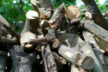 Poster - Abstract background and texture of wooden pile after deforest. Firewood for burning in winter