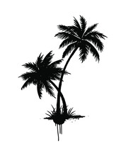 Palm Tree Silhouette.Vector Isolated Art Icon Silhouette Drawing Illustration Of Black Abstract Two Palms Trees Are Looped Around With Gross And Drips Of Paint, Print Design For T-shirt.Sticker.Summer