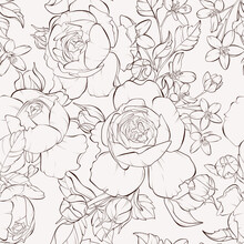 Seamless Pattern With Rose Flowers. Hand-drawn Contour Lines And Strokes..