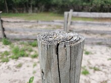 Close Up Of Old Fence Post