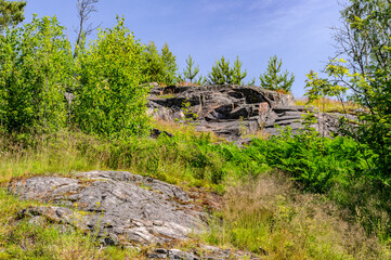 Wall Mural - It's Beautiful nature (background) landscape