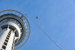 Neuseeland, Auckland, Im freien Fall vom Skytower in Auckland, Skytower, Skyjump
