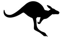 Kangaroo Vector Silhouette