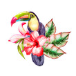 Watercolor tropical composition with hibiscus flowers and tukan bird, monstera leaves.
