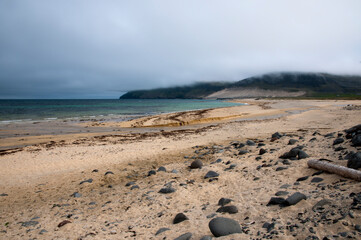 Wall Mural - black pebbles on sandy beach iceland west fjords