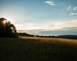 © Matthew John Sochor - sunset over the field