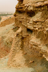 Wall Mural - Nature in the El Meniaa's castle, El Golea oasis, Ghardaia Province, Algeria.