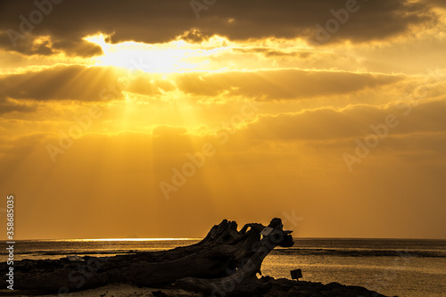 沖縄美ら海の夕方の海岸 14 Buy This Stock Photo And Explore Similar Images At Adobe Stock Adobe Stock 沖縄美ら海の夕方の海岸 14 Buy This Stock Photo And Explore Similar Images At Adobe Stock Adobe Stock