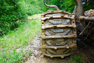 Forest harvesting machine for transporting sawn trees in the forest