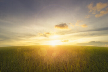 empty grassland and sunrise