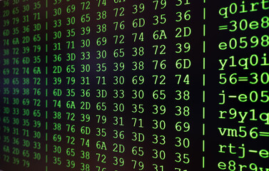 program code on pc screen