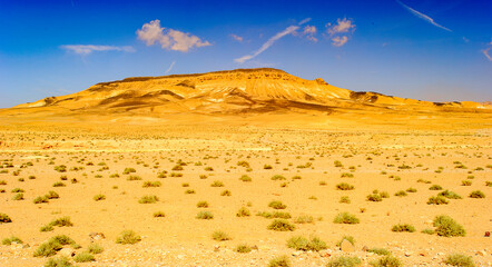 Wall Mural - Desert of Syria