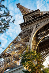 Wall Mural - view of the eiffel tower