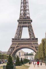 Wall Mural - View of the Eiffel Tower