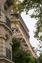 Wall Mural - View of the Eiffel Tower