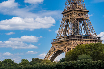 Wall Mural - View of the Eiffel Tower