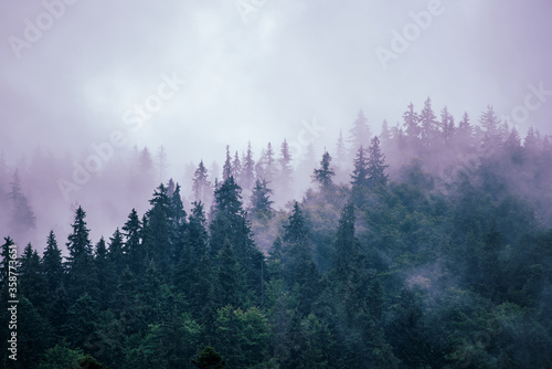 Fotografía Misty mountain landscape