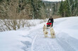 © romylee - Dog sledding in Quebec