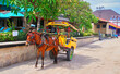 A typical horse drawn carriage at Gili trawangan, Gili Islands in Indonesia, Asia