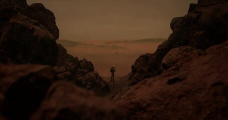 Wall Mural - dolly in back view of lonely astronaut walking on a surface of a red rocky planet. mars colonization