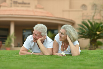 Canvas Print - Portrait of happy senior couple posing on grass