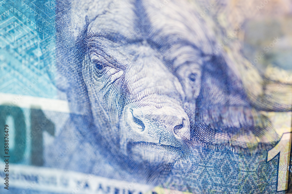 Zar R 1000 Notes Horizontal macro detail of a cape buffalo on the reverse of a South ...