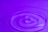 Fototapeta Tulipany - Water droplet 