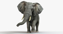 Giant Elephant. 3D Render Of An Elephant Isolated, 3d Rendering