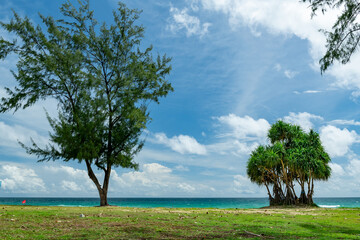 Wall Mural - Tropical island background concept with copy space. Green grass and sandy beach with bright and colorful oceand and sky in sunny day.