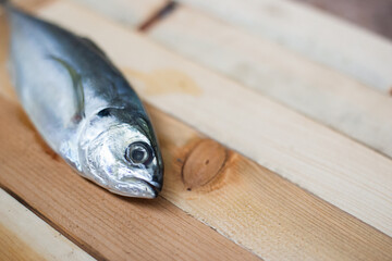 One raw mackerel isolate on wooden background.