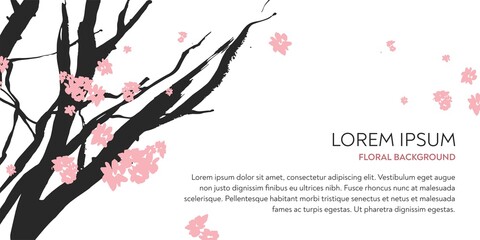 Branches of the cherry tree with pink flowers drawn by hand by ink on a white background in the technique of Chinese graphics. Horizontal banner for salon of beauty, cosmetology. Vector illustration.