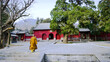 Monk walks into the building. Shaolin Monastery, Shaolin Temple. Dengfeng, Zhengzhou, Henan, China
