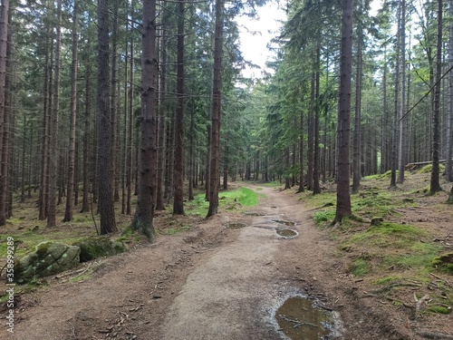 las , rzeka, krajobraz, przyroda, szklarska poręba